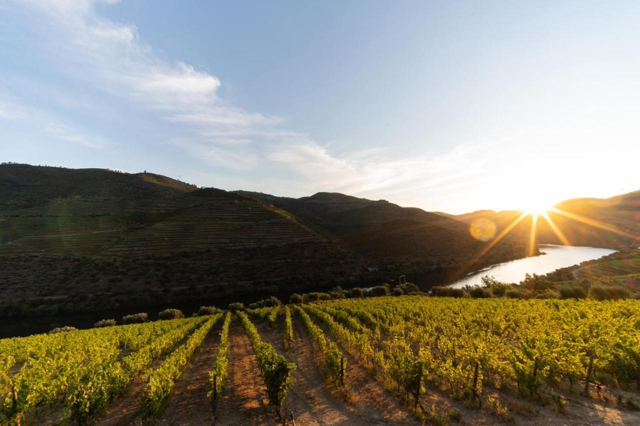 Quinta De S. Jose - Turismo Rural Ervedosa do Douro Buitenkant foto