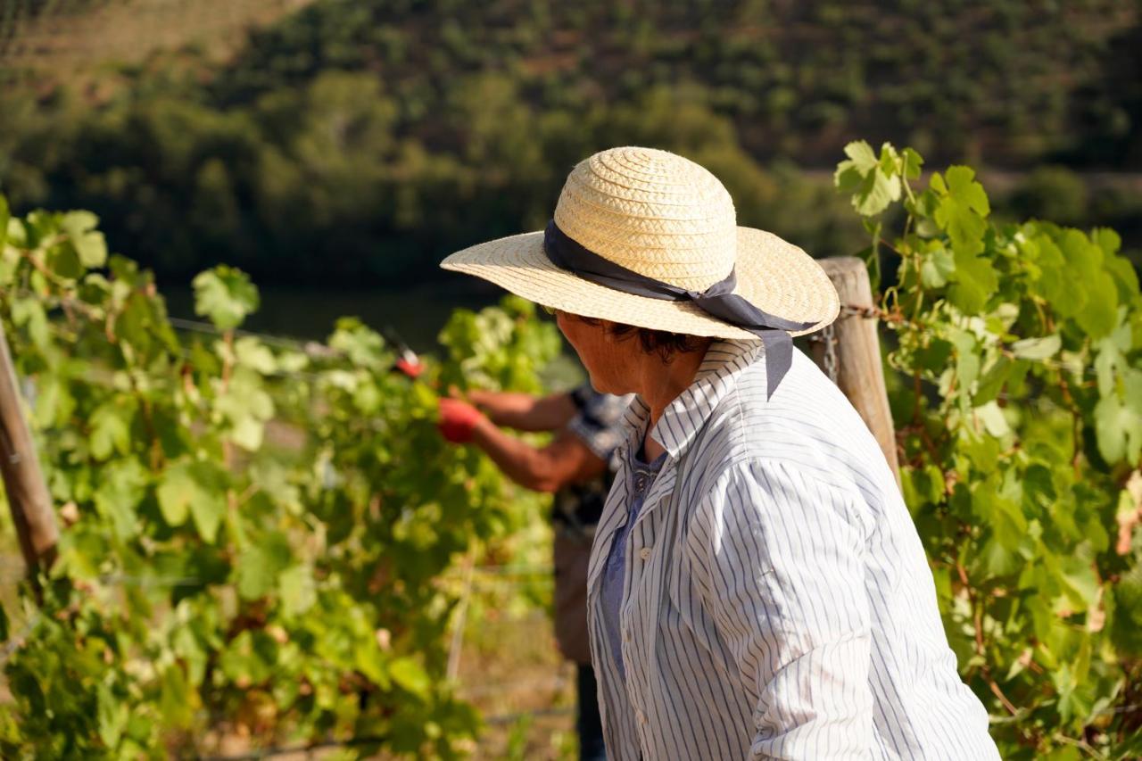 Quinta De S. Jose - Turismo Rural Ervedosa do Douro Buitenkant foto