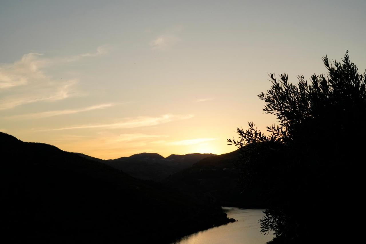 Quinta De S. Jose - Turismo Rural Ervedosa do Douro Buitenkant foto